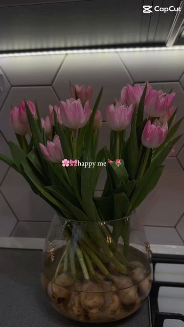 copy_F9D009EE-9A34-4136-BAB3-CE62282F1D20
