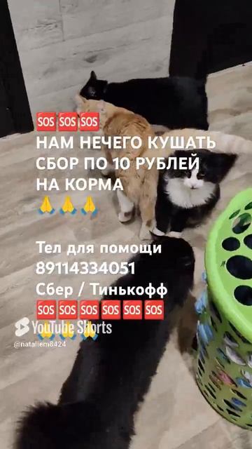 ЛЮДИ ДОБРЫЕ ПОМОГИТЕ 🙏🆘