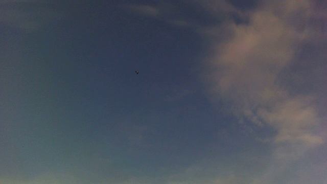 ВОРОН и РОК Н РОЛЛ