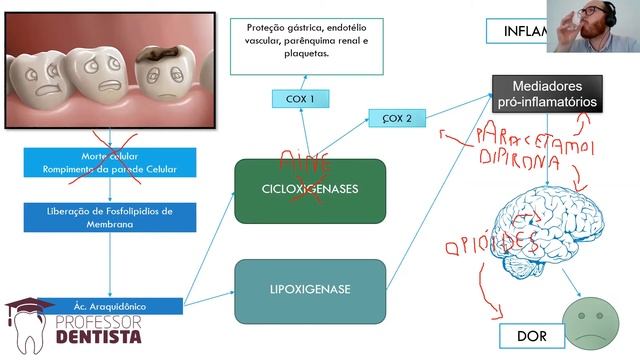 Controle da dor e Inflamação em cirurgia - Analgésicos e Anti-inflamatórios em Odontologia