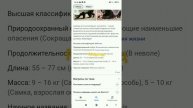 информация про медоеда