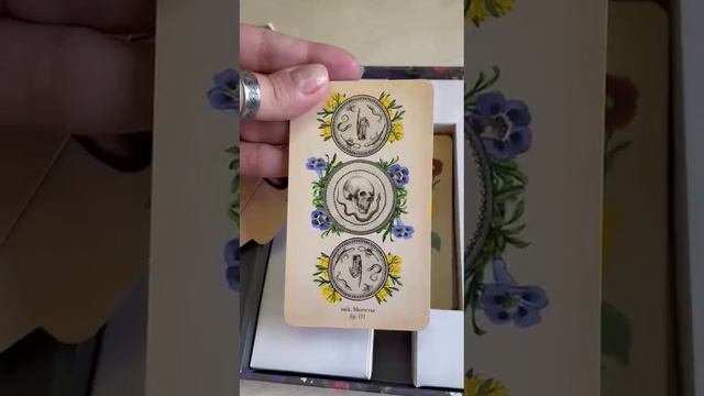 Таро античной анатомии. Продолжение обзора. Видео от Ирины К.