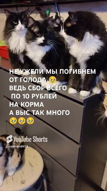 ЧЕЛОВЕК ПОМОГИ 🙏🆘