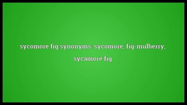 Sycomore fig Meaning