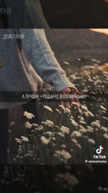 формула жизни