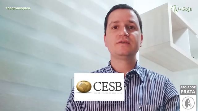 Matocompetição: perdas por amargoso