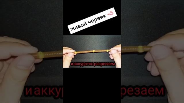 ТОПОВАЯ НАЖИВКА ПО ХИЩНИКУ