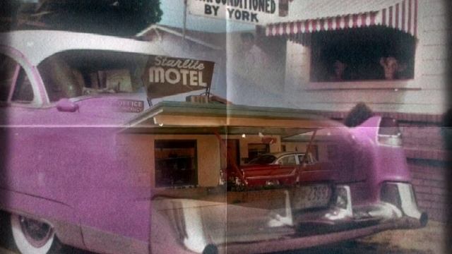 ☆○o Flamingo star  ☆○o #subliminal