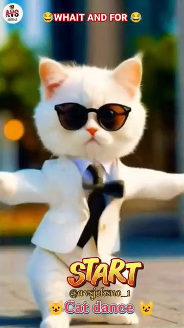 #shorts_😺😺_cute_cat_dance_video_#funny_#cat_#dog_#dogdance_#avsjoksno_1