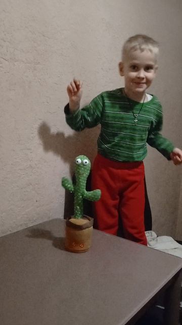 Купили кактус