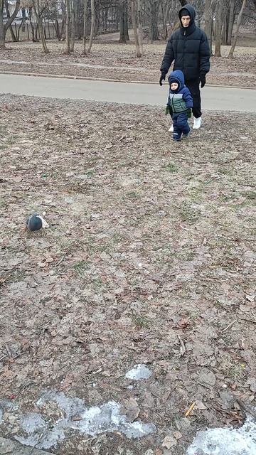 09-02-2025