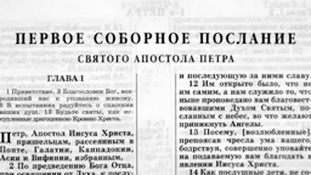 Новый Завет 1 Соборной Послание Апостола Петра читает Александр Бондаренко.