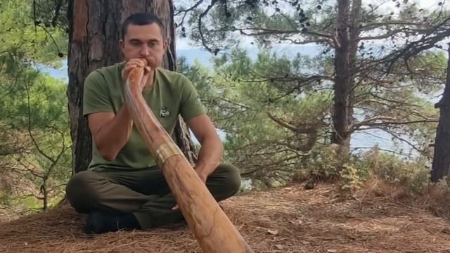 Диджериду