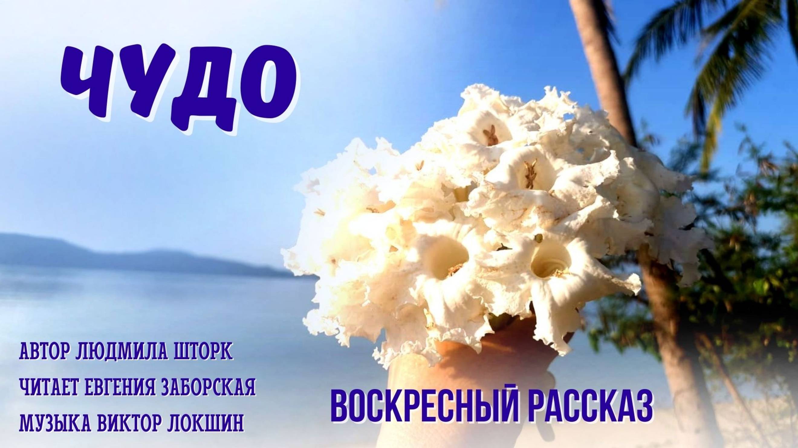Чудо 1