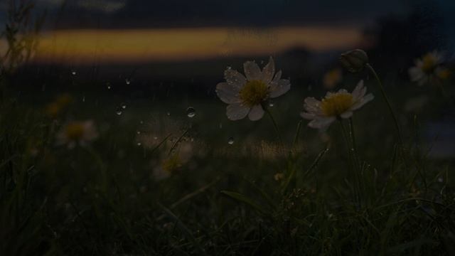 «Осень в сердце»