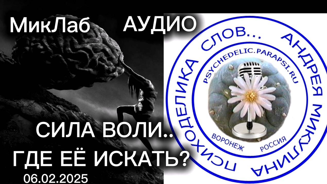 Воля.. Где её искать? Психоделика Слов. Прямой Эфир с Андреем Микулиным. 06.02.2025. МикЛаб