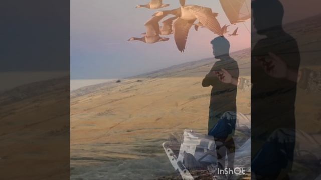 я такой никогда не встречу