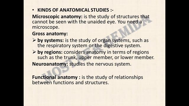 ANATOMY BASICS
