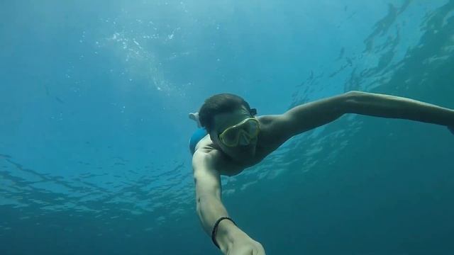 Let Your Stress Melt Away: Dive into Relax Music. Enjoy beautiful dolphin and bird singing for slee