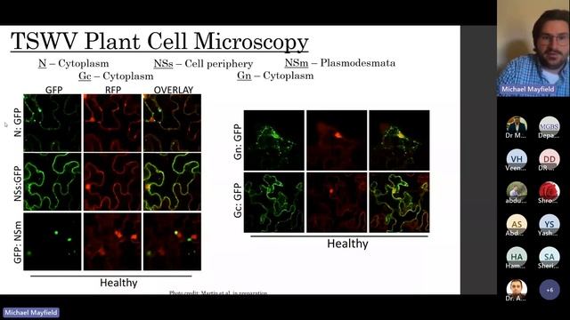 MGBS 2023- A Field and Molecular Approach to Understanding Alabama Legume Viruses- Mr.Mayfield's