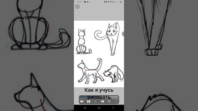 В этом видео я покажу записи как я училась рисовать