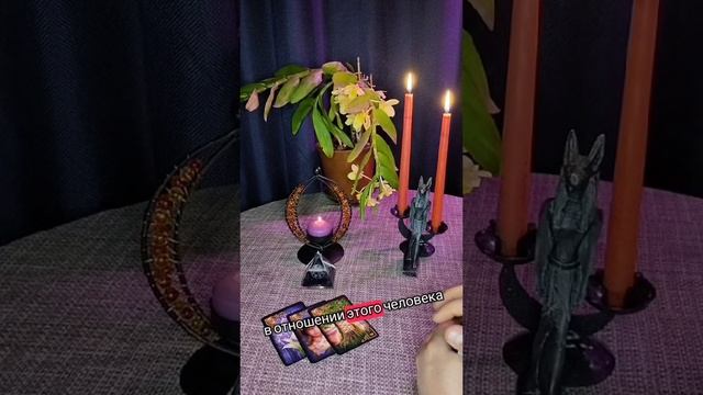 чего он ждёт от тебя