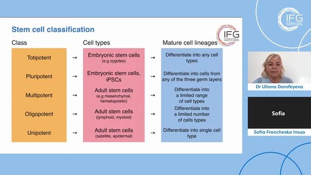 Stem Cell Therapies for Enhancing Ovarian Function in IVF Practice