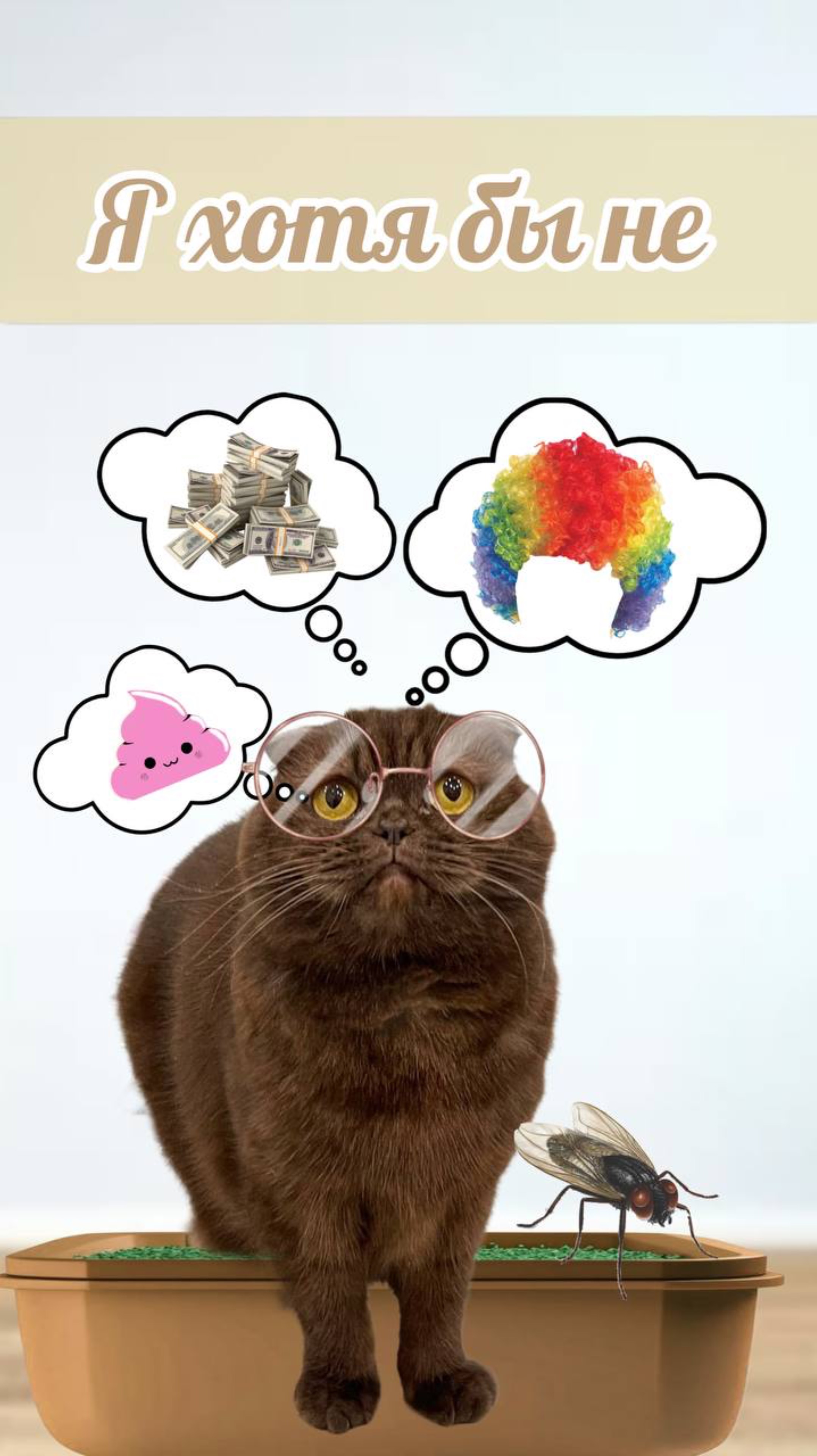 Я хотя бы не .. версия кота #питомцы #кот
