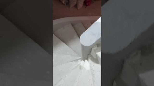 1000027419.mp4