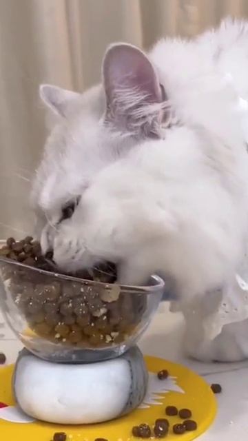 Тот самый человек, который просит чуть-чуть откусить.mp4