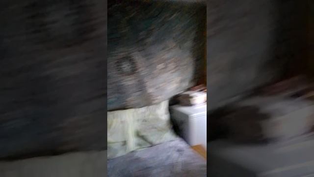 VID_20250208_161746.mp4