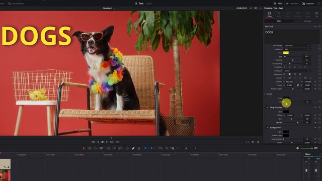 How to add TEXT in Davinci Resolve 19   Beginner Tutorial