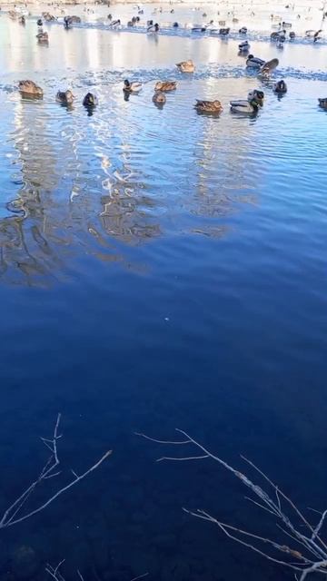 09.02.2025 #сегоднятак #сегодня #природа #nature #oggicosì #бүгін #oggi #hoy #今日 #today #오늘 #자연 #自然