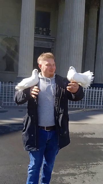 Красивые птицы