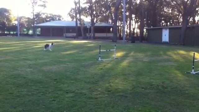 Tara - Bounce Grid - 15 Feet