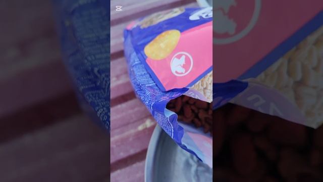 Продолжаю раздавать вкусняшки