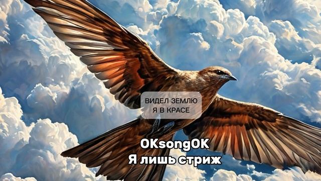 Я лишь стриж