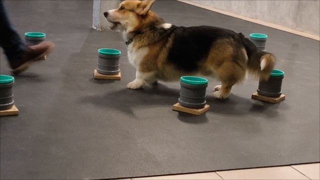 1000027066.mp4