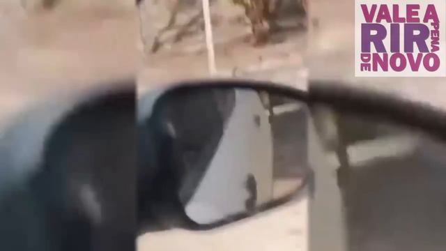 VALE A PENA RIR DE Vídeos ENGRAÇADOS 2024 Tente Não Rir 6 0