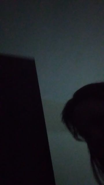 VID_20250125_102938.mp4