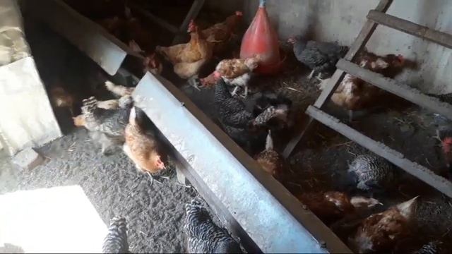 Ось, якось так!