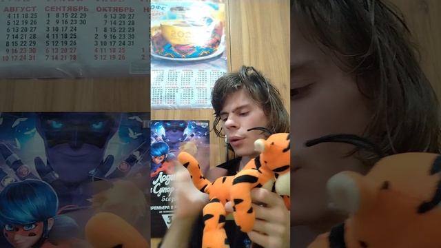 Обзор мякая игрушка  тигруля из винипуха