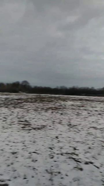 Соник и Варик