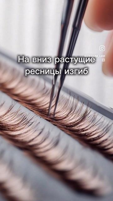Все изгибы в одном шортс 🧡