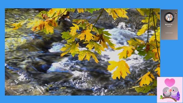 leaves, water