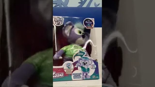 Коала Холли