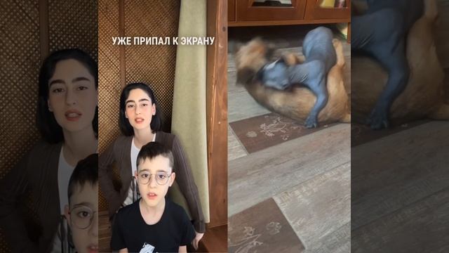 🥊 ДЭЙНА УАЙТ думал, что видел всё в ММА