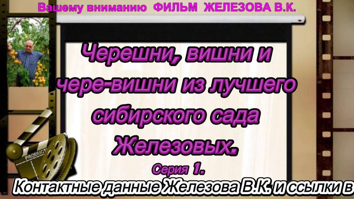 Черешни, вишни и чере-вишни из лучшего сибирского сада Железовых. Серия 1.
