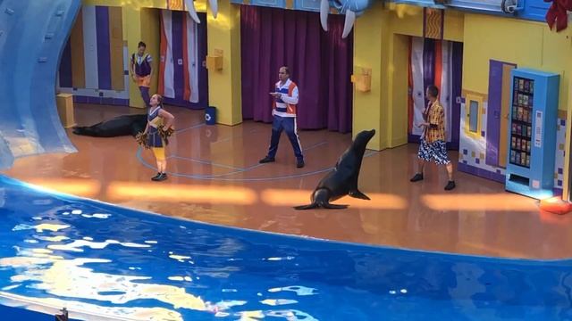 SeaWorld - Orlando, Florida / Full Time RV Travel