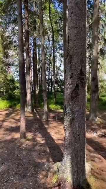 Solo Camping Outdoor dining Mitsubishi ASX Одиночный кемпинг Обед на природе.